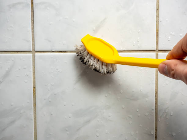 Best Mold Removal Near Me  in Atlantic, IA