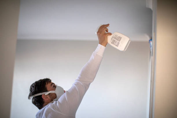 Best Residential Mold Removal  in Atlantic, IA
