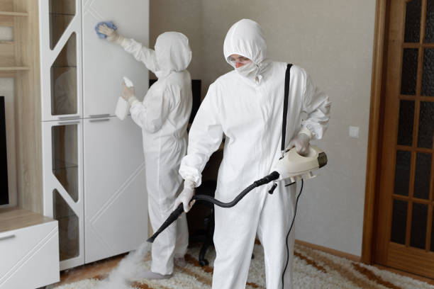 Professional Mold Removal in Atlantic, IA